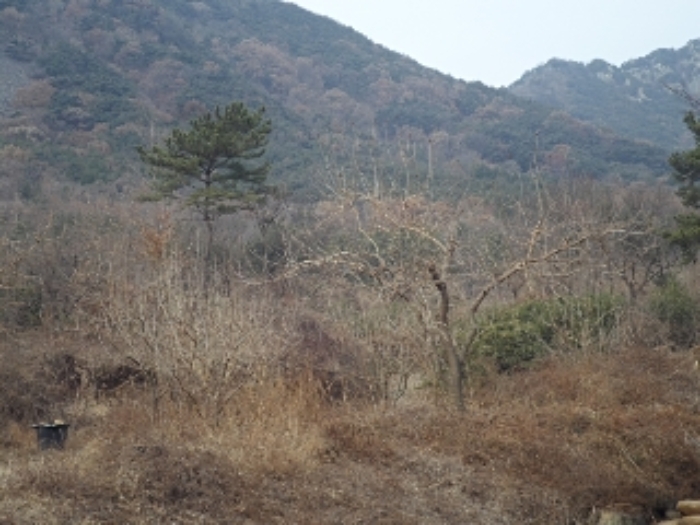 경상남도 창녕군 영산면 구계리 1052 외 14필지 전 경매 사진 11