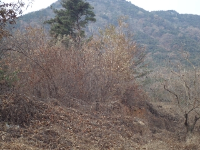 경상남도 창녕군 영산면 구계리 1052 외 14필지 전 경매 사진 18