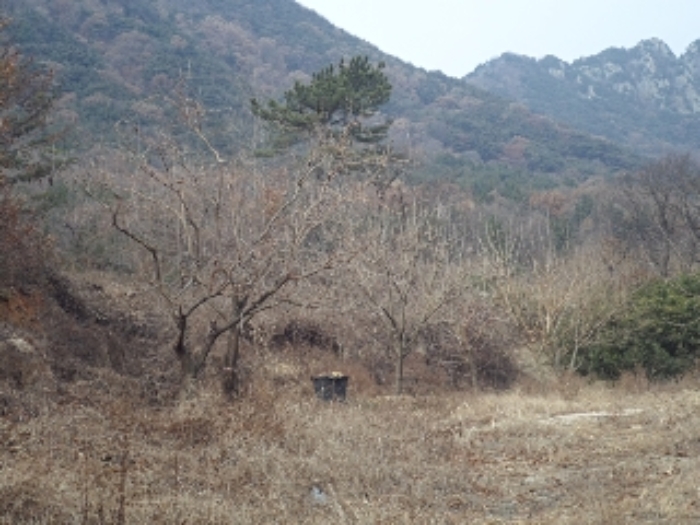 경상남도 창녕군 영산면 구계리 1052 외 14필지 전 경매 사진 19