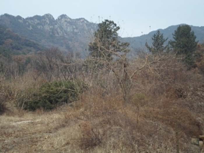 경상남도 창녕군 영산면 구계리 1052 외 14필지 전 경매 사진 20