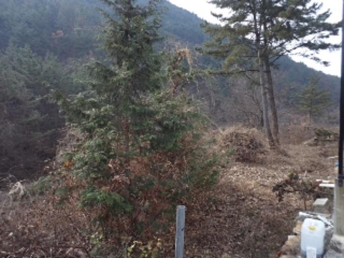 경상남도 창녕군 영산면 구계리 1279-1 답 경매 사진 1
