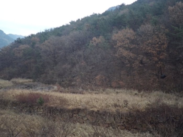 경상남도 창녕군 영산면 구계리 1279-1 답 경매 사진 4