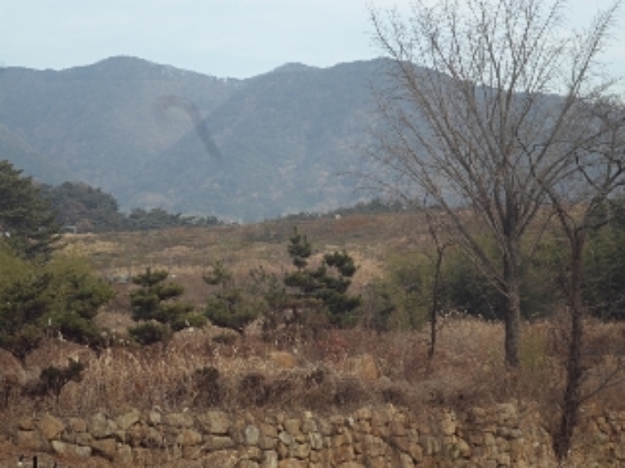 경상남도 창녕군 영산면 구계리 1279-1 답 경매 사진 5