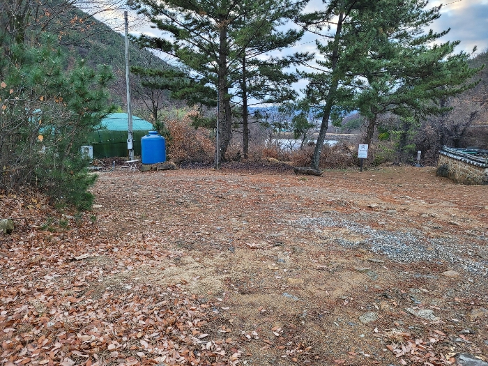 경상남도 창녕군 영산면 구계리 1264-7 임야 경매 사진 3