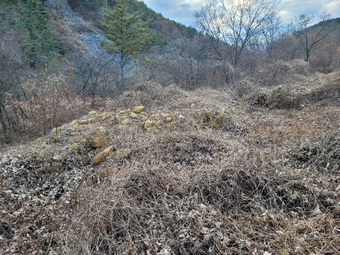 경상남도 창녕군 영산면 구계리 1275-2 외 4필지 전 경매 사진 2