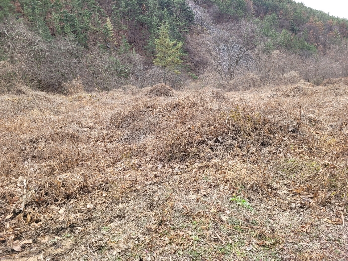 경상남도 창녕군 영산면 구계리 1275-2 외 4필지 전 경매 사진 4