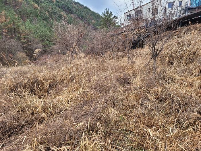 경상남도 창녕군 영산면 구계리 1275-2 외 4필지 전 경매 사진 5