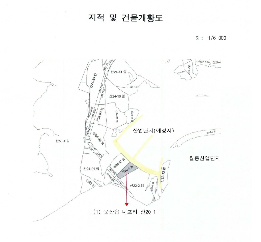 경기도 파주시 문산읍 내포리 산20-1 임야 경매 사진 46