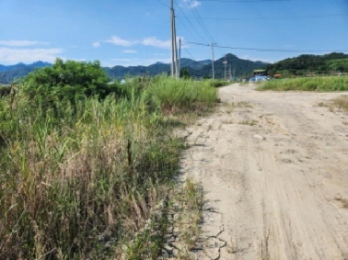 전북특별자치도 부안군 진서면 진서리 265-13 외 10필지 임야 경매 사진 6
