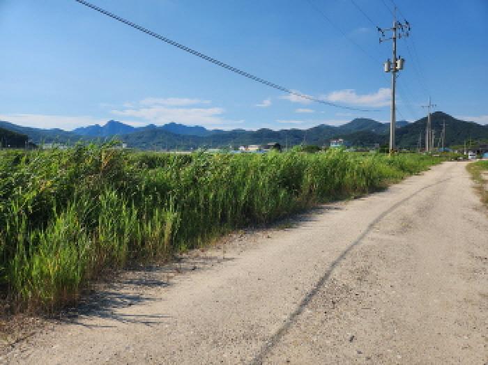 전북특별자치도 부안군 진서면 진서리 265-13 외 10필지 임야 경매 사진 9