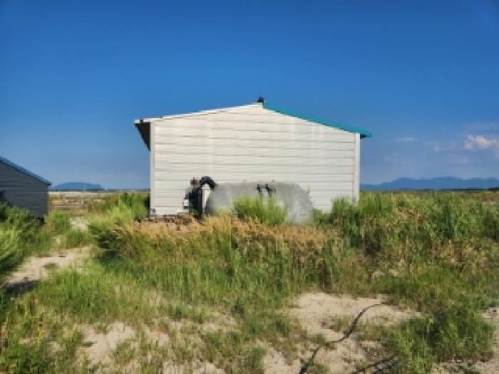 전북특별자치도 부안군 진서면 진서리 265-16 외 3필지 임야 경매 사진 1