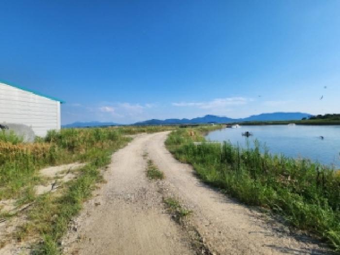 전북특별자치도 부안군 진서면 진서리 265-16 외 3필지 임야 경매 사진 2
