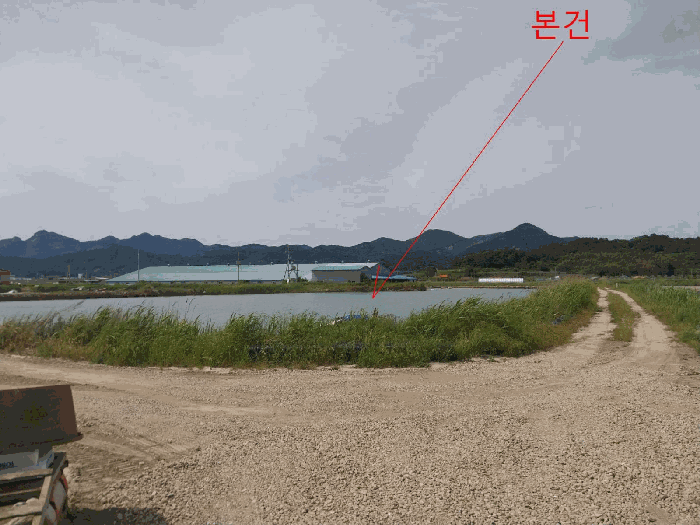 전북특별자치도 부안군 진서면 진서리 265-16 외 3필지 임야 경매 사진 5