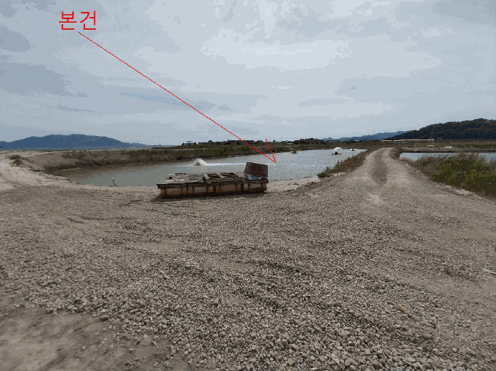 전북특별자치도 부안군 진서면 진서리 265-16 외 3필지 임야 경매 사진 8