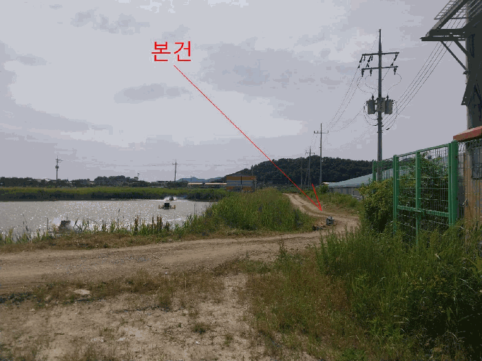 전북특별자치도 부안군 진서면 진서리 265-16 외 3필지 임야 경매 사진 9