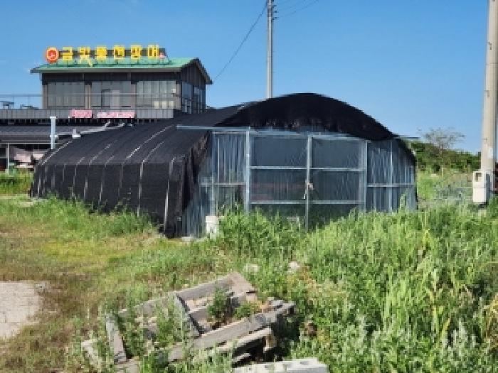 전북특별자치도 부안군 진서면 진서리 265-12 외 3필지 임야 경매 사진 2