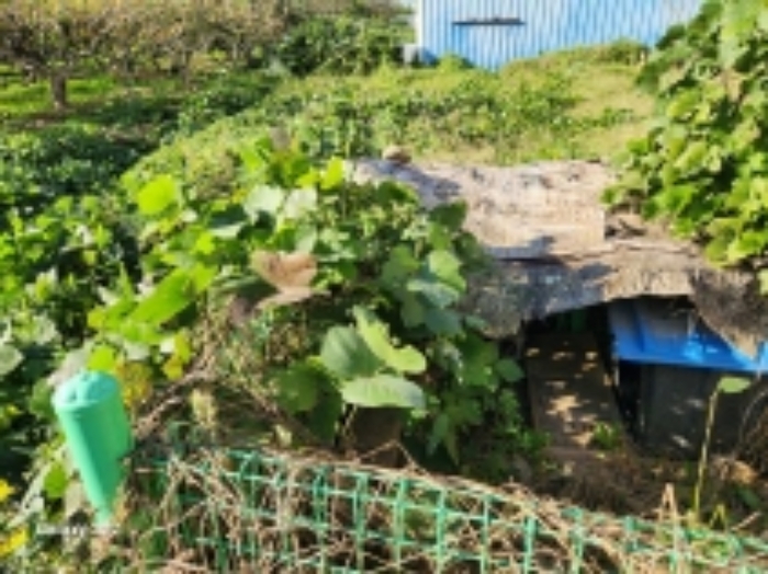 전라남도 구례군 마산면 광평리 822-3 전 경매 사진 1