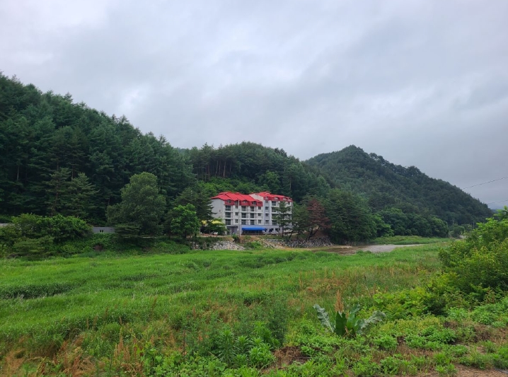 강원특별자치도 평창군 진부면 간평리 220-1, 1층101호 (숲사잇길펜션 제1동) 외 22개호 외 1필지 숙박(콘도등) 경매 사진 1