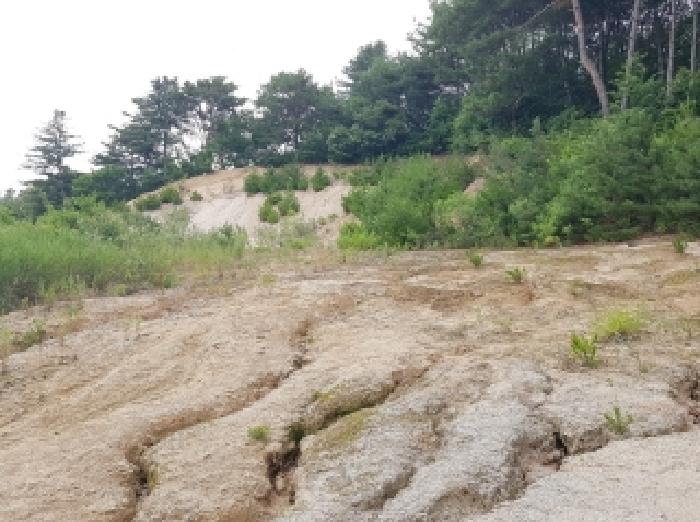 강원특별자치도 춘천시 퇴계동 산2 외 9필지 임야 경매 사진 30