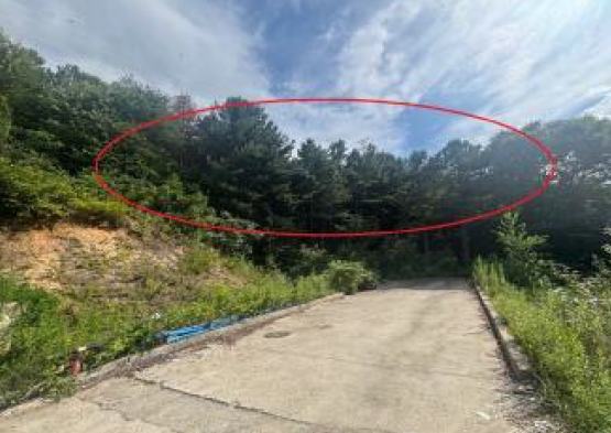 강원특별자치도 춘천시 퇴계동 산2 외 9필지 임야 경매 사진 5