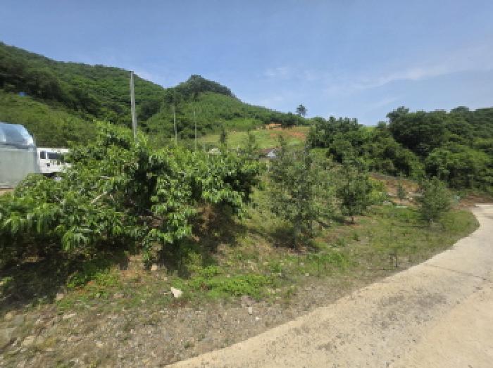 충청북도 제천시 청풍면 연론리 466 외 2필지 단독주택 경매 사진 3