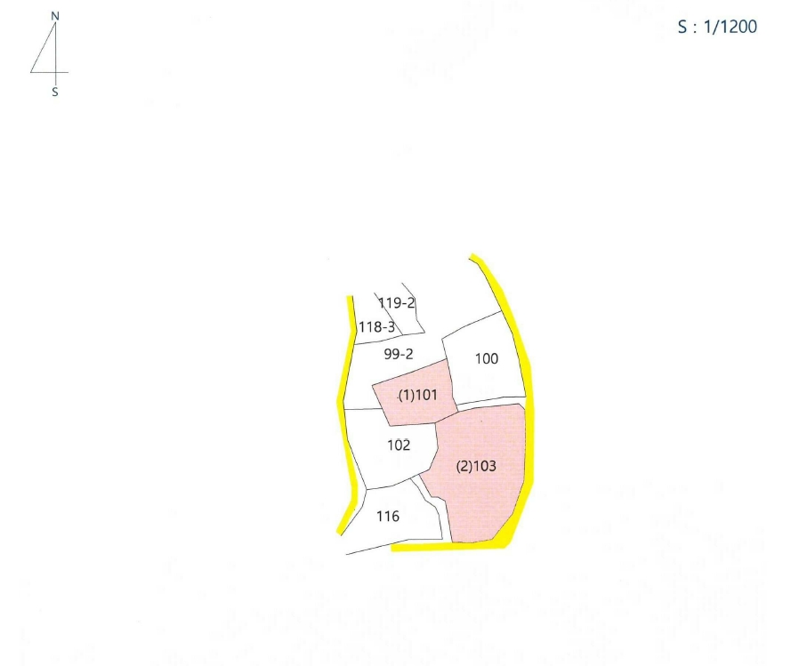 경상북도 영천시 자양면 도일리 101 외 1필지 전 경매 사진 11