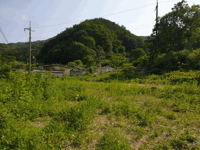경상북도 영천시 자양면 도일리 101 외 1필지 전 경매 사진 7
