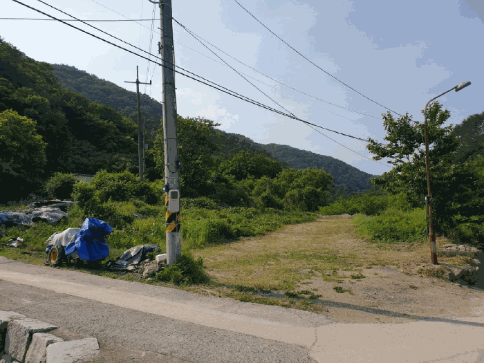 경상북도 영천시 자양면 도일리 101 외 1필지 전 경매 사진 8