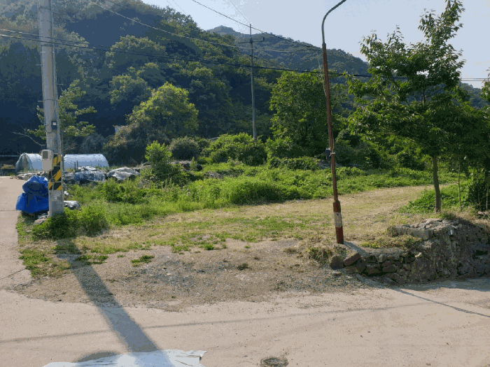 경상북도 영천시 자양면 도일리 101 외 1필지 전 경매 사진 9