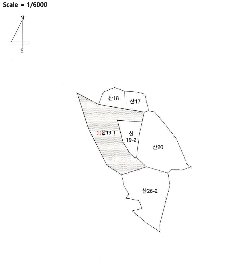 대구광역시 달성군 하빈면 대평리 산19-1 임야 경매 사진 6