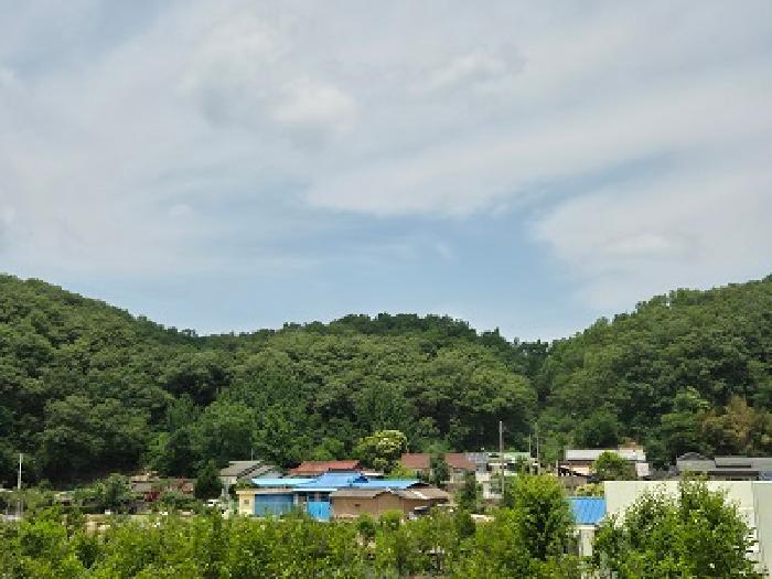 대구광역시 군위군 산성면 무암리 산134 외 1필지 임야 경매 사진 2
