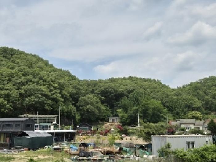 대구광역시 군위군 산성면 무암리 산134 외 1필지 임야 경매 사진 3