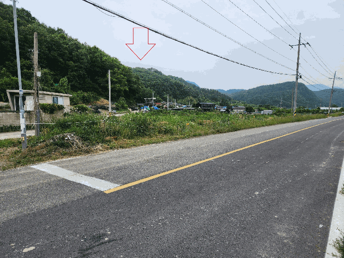 대구광역시 군위군 산성면 무암리 산134 외 1필지 임야 경매 사진 8