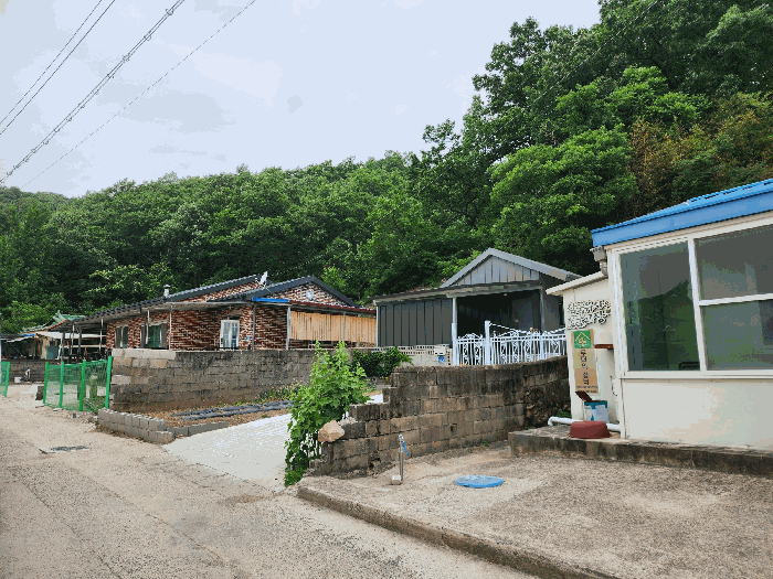 대구광역시 군위군 산성면 무암리 산134 외 1필지 임야 경매 사진 9