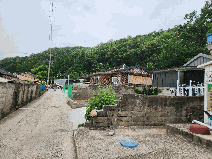 대구광역시 군위군 산성면 무암리 산134 외 1필지 임야 경매 사진 10