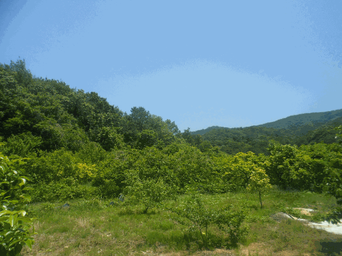 경상남도 거제시 수월동 412 답 경매 사진 5