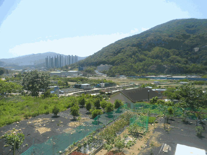 경상남도 거제시 수월동 412 답 경매 사진 6