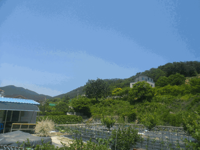 경상남도 거제시 수월동 412 답 경매 사진 7