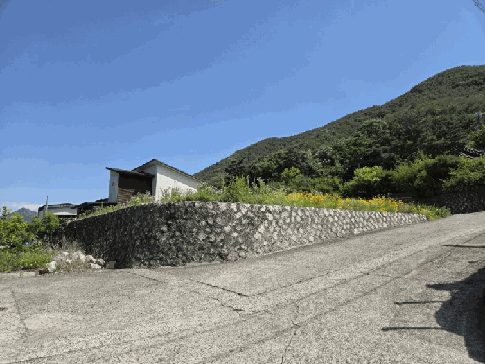 경상남도 창녕군 부곡면 거문리 855-13 임야 경매 사진 16
