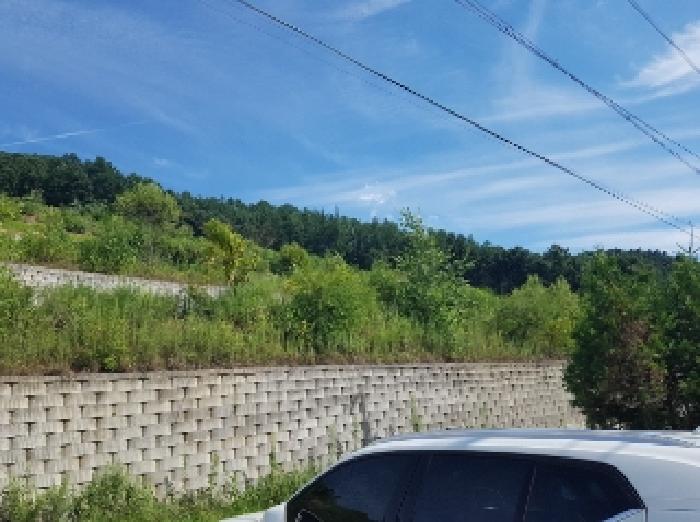 강원특별자치도 홍천군 서면 굴업리 292 외 8필지 임야 경매 사진 7