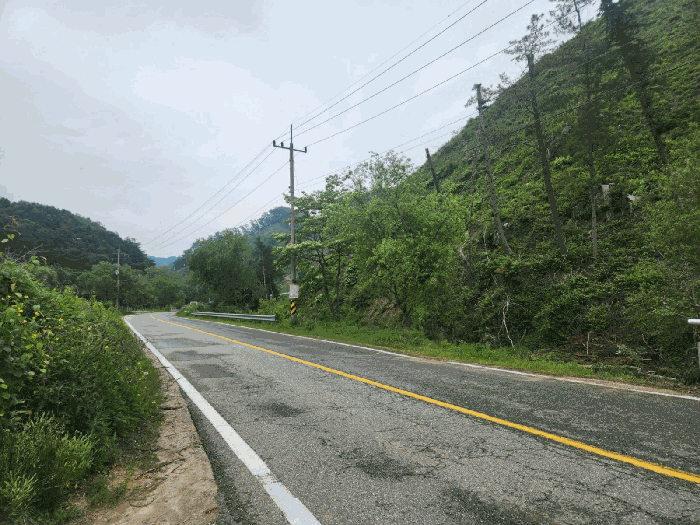 강원특별자치도 홍천군 화촌면 장평리 254 외 2필지 전 경매 사진 4