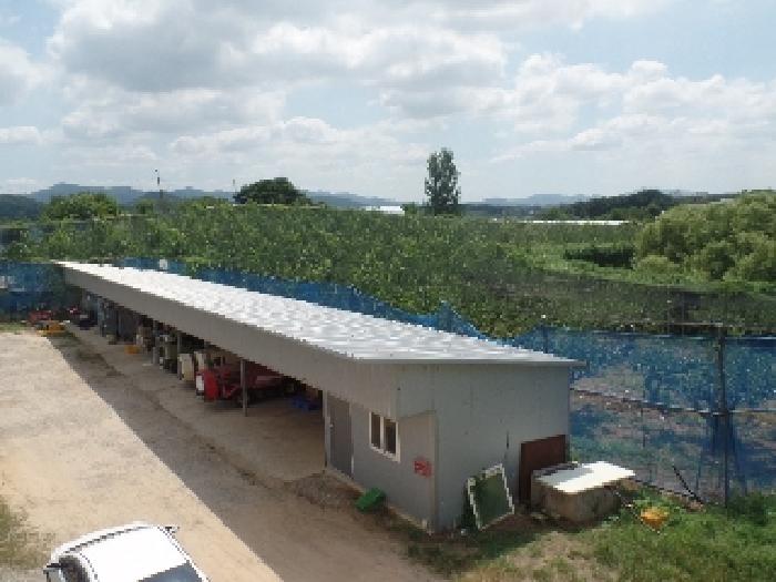 충청남도 논산시 은진면 용산리 163-6 외 5필지 전 경매 사진 4