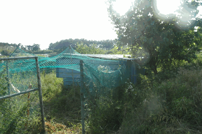 충청남도 논산시 은진면 용산리 163-6 외 5필지 전 경매 사진 33