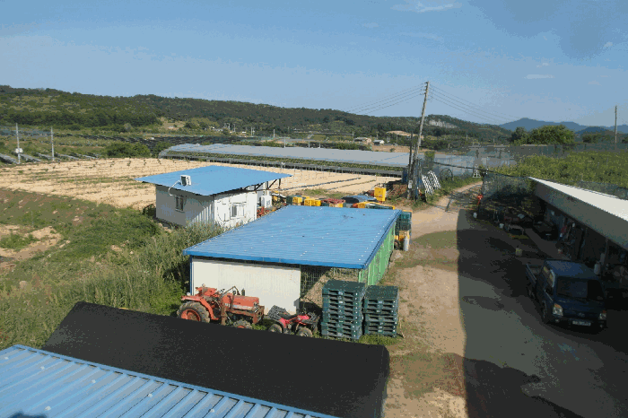 충청남도 논산시 은진면 용산리 163-6 외 5필지 전 경매 사진 36