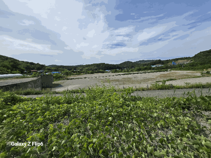 충청남도 부여군 임천면 점리 414-2 외 6필지 공장용지 경매 사진 13