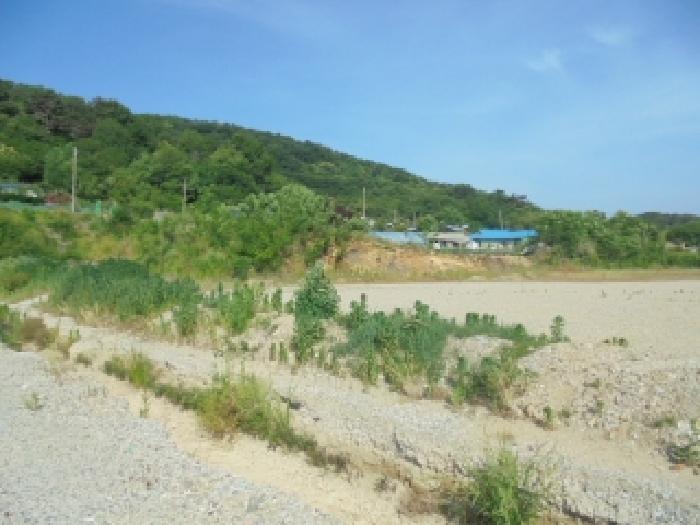 충청남도 부여군 임천면 점리 414-2 외 6필지 공장용지 경매 사진 3