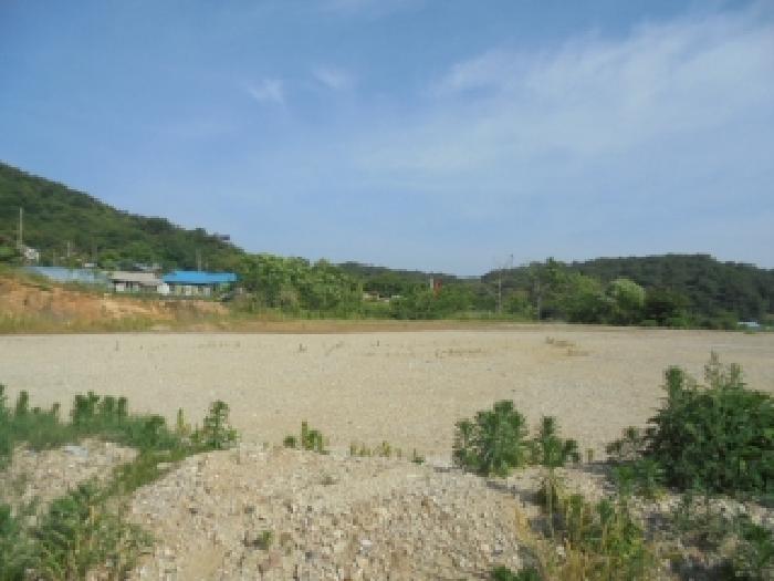 충청남도 부여군 임천면 점리 414-2 외 6필지 공장용지 경매 사진 5