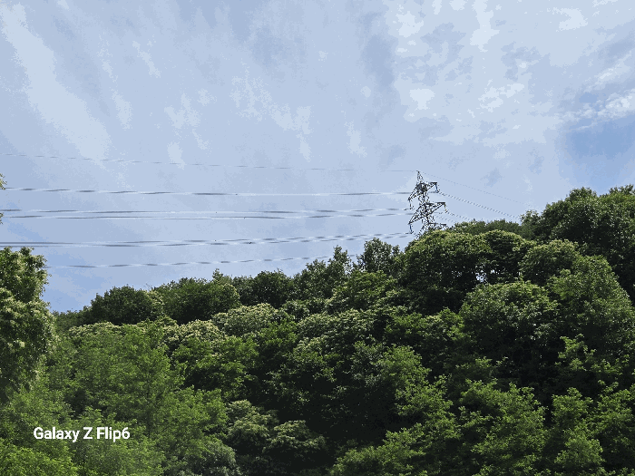 충청남도 부여군 임천면 점리 414-2 외 6필지 공장용지 경매 사진 10