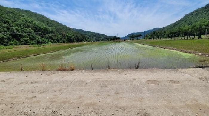 경상남도 의령군 가례면 수성리 307-2 답 경매 사진 34