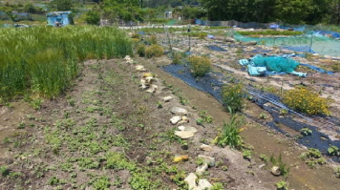 경상남도 거제시 일운면 소동리 338-7 외 4필지 답 경매 사진 1
